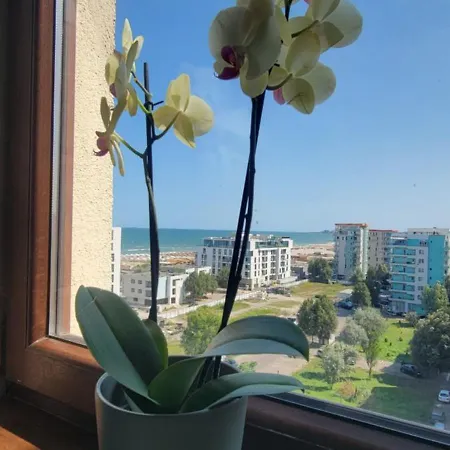 Summerland Views